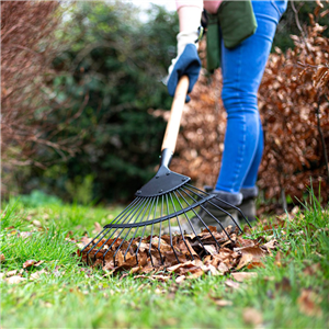 Ames Wire Leaf Rake Carbon